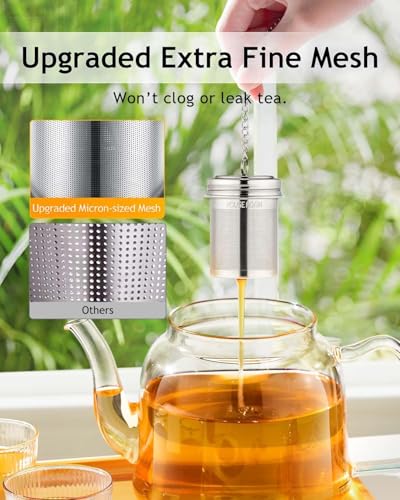 2 Pack Tea Infuser with Scoop for Loose Leaf Tea Steeper (Small×2)