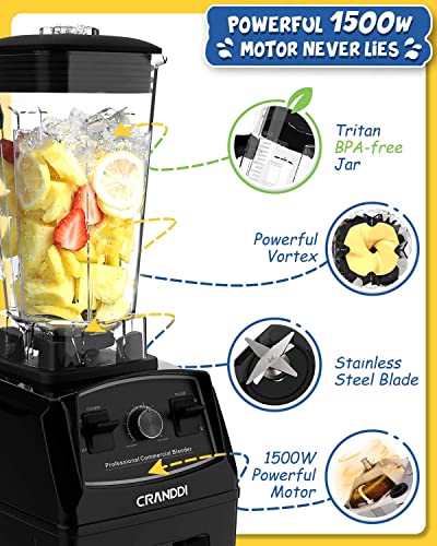 Professional Blender (Black Pearl)