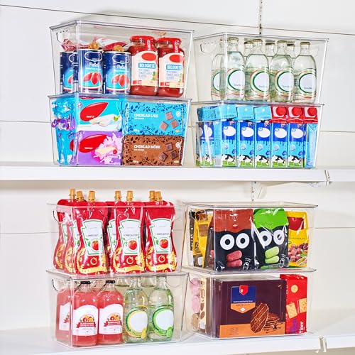 XLarge Clear Storage Bins with Lids (6 Count)
