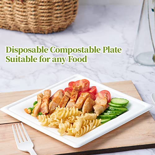 120 Pack Compostable Paper Plates Disposable (10 inch and 8 inch)