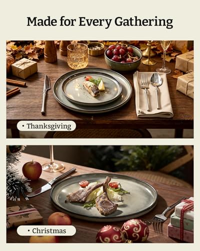 Milkyway 12 Piece Stoneware Dinnerware Set (Greenish Brown / Service for 4 (Standard Dinner Set))