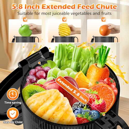 Juicer Machines with 5.8" Extra Large Feed Chute (sliver)