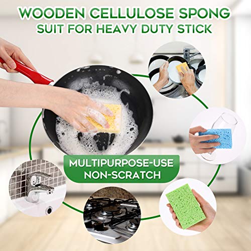 Compressed Cellulose Kitchen Sponges 24Pack (24 Count)