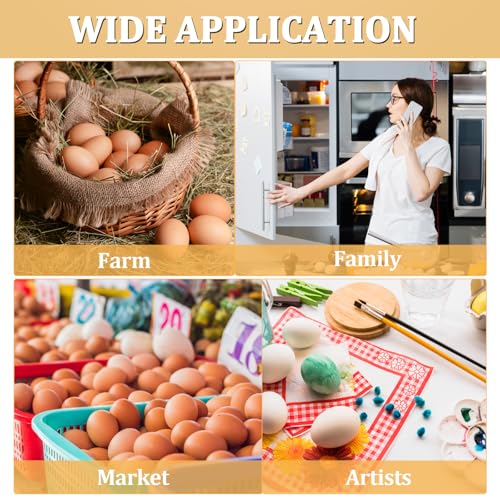 120 Pack Egg Cartons 12 Count (120 Count)