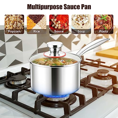 Triply Stainless Steel Saucepan Set (1QT & 3QT)