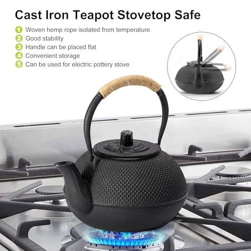 Japanese Tetsubin Cast Iron Teapot Tea Kettle pot with Stainless Steel Infuser for Stovetop Safe Coated with Enameled Interior 30 oz (30 oz / 900 ml)