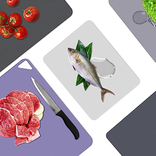 Flexible Plastic Cutting Boards for Kitchen Set of 10 (Multi Color - S&L - 10)