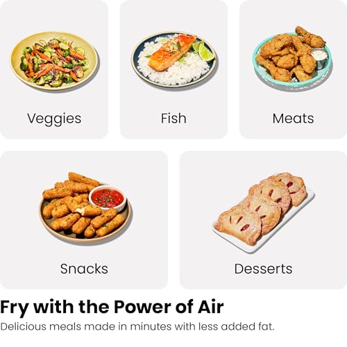 6 Quart Dual Basket Air Fryer (6 Quart)