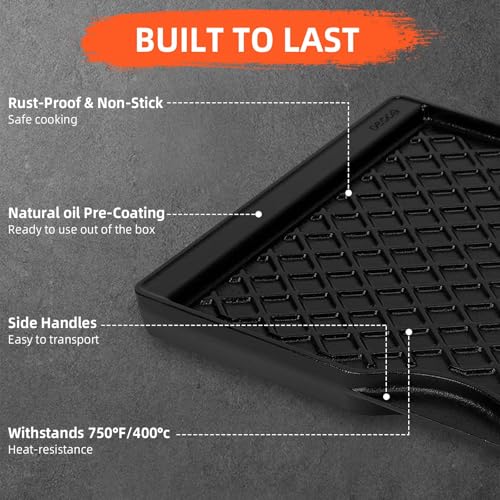 17.5 Inch Grill Griddle for Weber Spirit 200 Series (17.4" x 10.2" x 1.2")