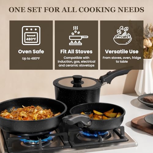 Nonstick Pots and Pans Set (Black / 20 Pack)