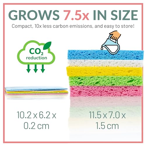 30 Pack Compostable Pop (Multicolor / 30 Packs)
