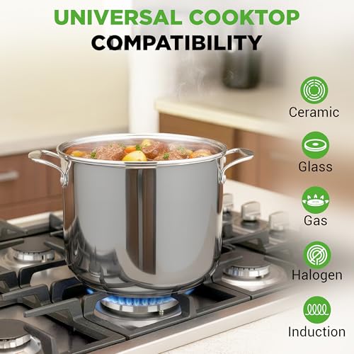 12 Quart Stainless Steel Stock Pot with Lid (Stainless Steel / 12 Quarts)