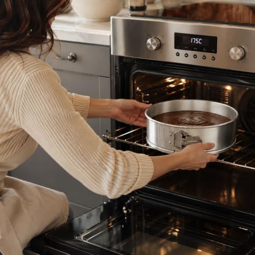 10 in Silver Aluminum Springform Cake Pan (10")