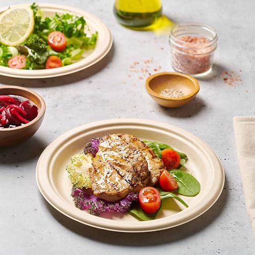 100% Compostable Paper Plates 150 Pack (10 Inch)