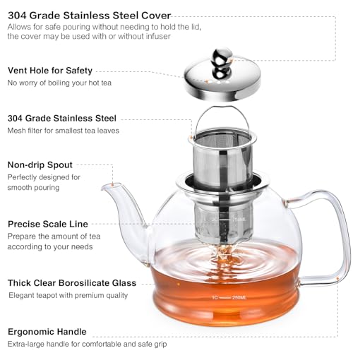 STNTUS Glass Teapot With Infuser (800ml/27oz)
