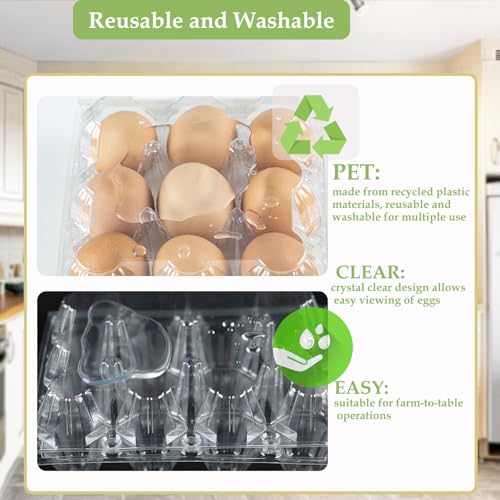 48 Pack Egg Cartons Cheap Bulk 12 Count (Medium-48PK-12CT)