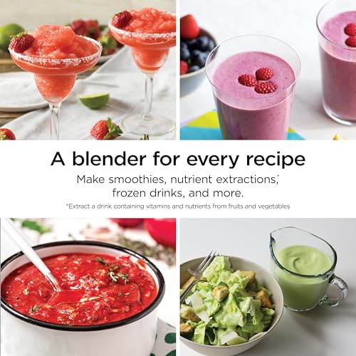 BL660 Professional Compact Smoothie & Food Processing Blender (Pro TotalCrush Blender)
