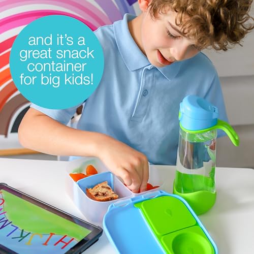 Mini Lunch Box