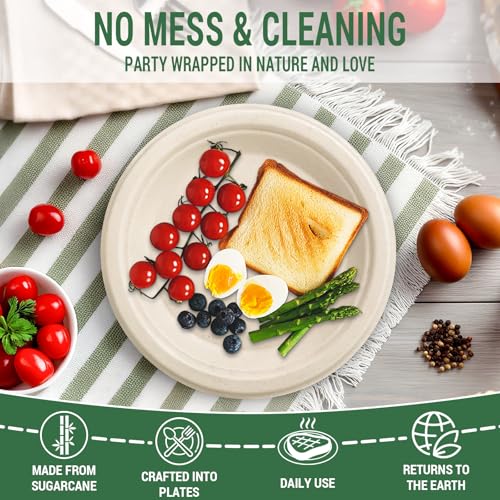 Small Compostable Paper Plates (Nature / 75 Count (6"))