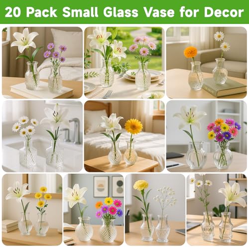 Glass Bud Vase Set of 20 Pcs