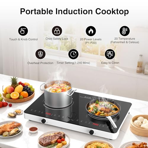 Double Induction Cooktop (24 Inch Black&White)