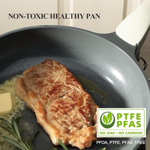 Nonstick Ceramic Frying Pan with Lid (12" W/Lid / Gray)