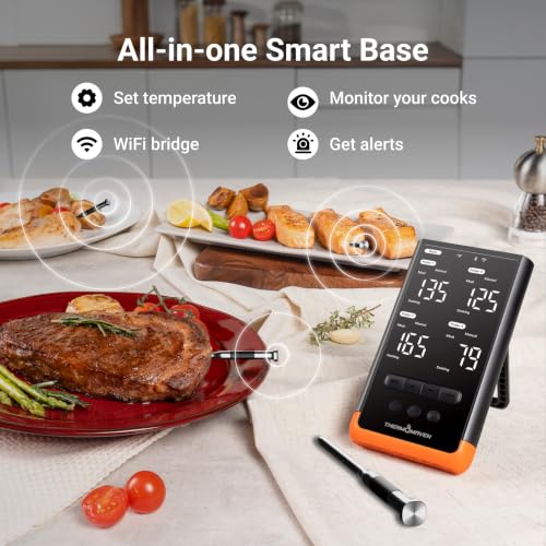 Sub 1G Wireless Meat Thermometer