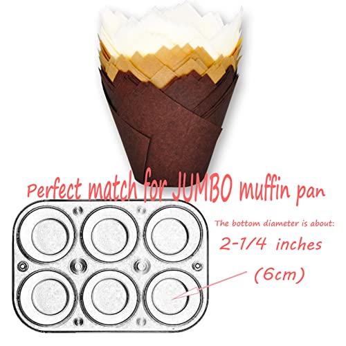 JUMBO EXTRA LARGE size (Jumbo Brown&White&Natural)