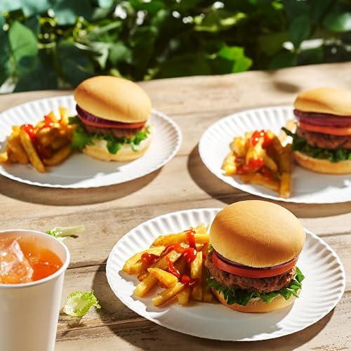 500 Uncoated Paper Plates 9 Inch (9 Inch)