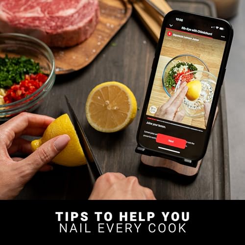 SE Wireless Smart Meat Thermometer