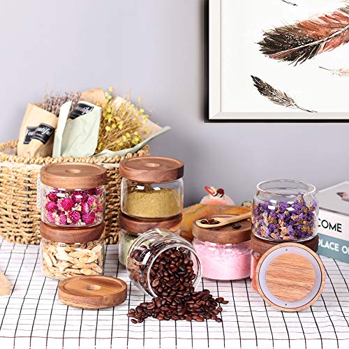 8 Pcs Spice Containers (clear)