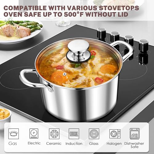 4.5 Quart Stock Pot