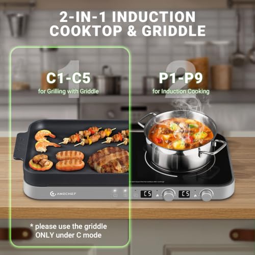 Double Induction Cooktop (Iron Grey)