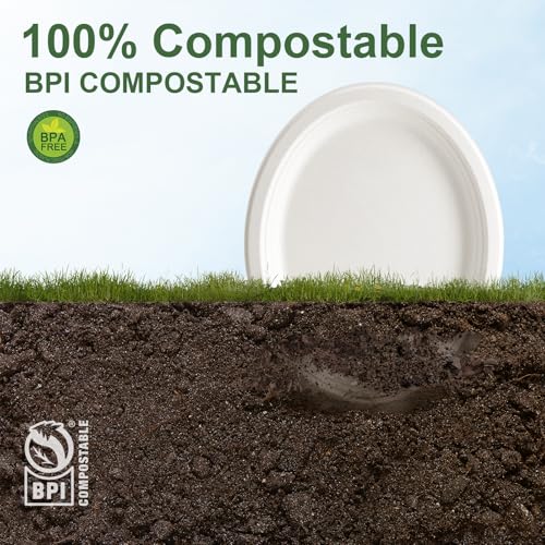 100% Compostable Oval Paper Plates 12 Inch (White / 12Inch（125 PCS）)