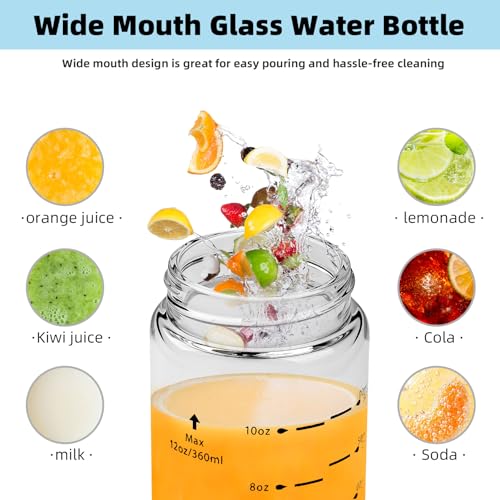 Glass Juice Bottles 6 Pack 20 oz (20 Ounces / 6 Pack)