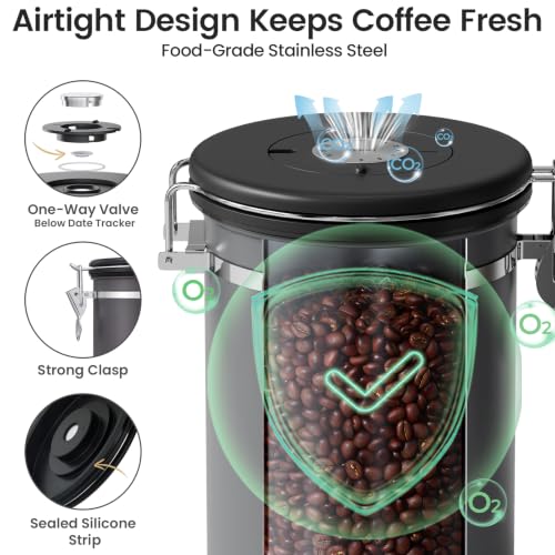 Coffee Canister with Window (Grey / 22 oz)