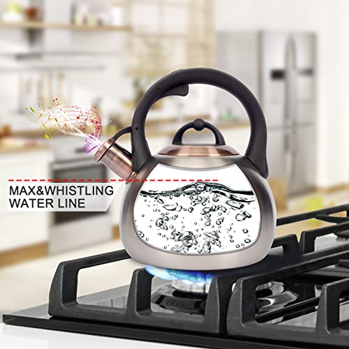 3.1 Quart Teal Whistling Tea Kettle for Stove Top (Silver)