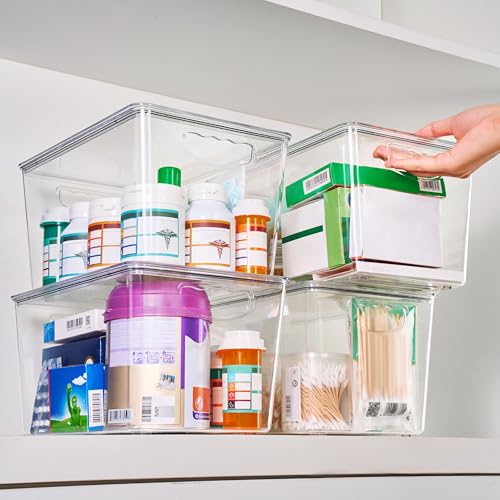 Large Clear Storage Bins with Lids (6 Count)