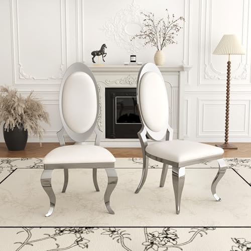 Modern Dining Chairs Set of 2