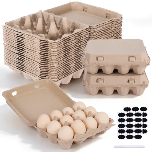 25 Pack Egg Cartons Bulk (3x4 Style - 25Pack)
