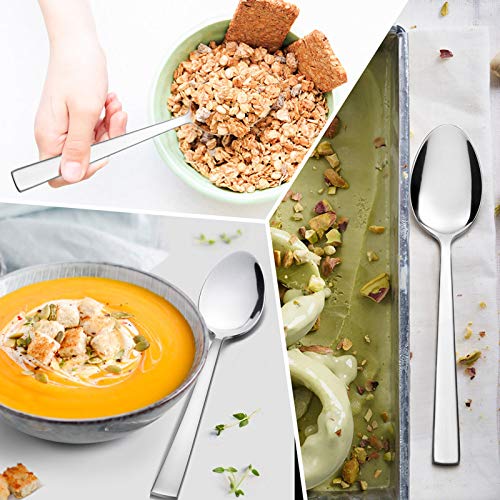 Dinner Spoons Set of 6 (7.9 Inches(Silver))