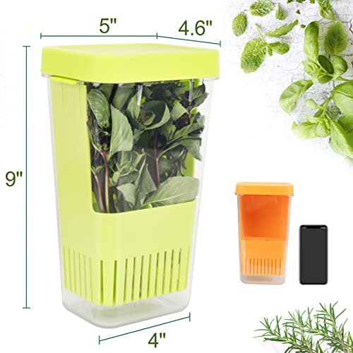 Fresh Herb Keeper for Refrigerator (Herb Keeper - Green & Orange)