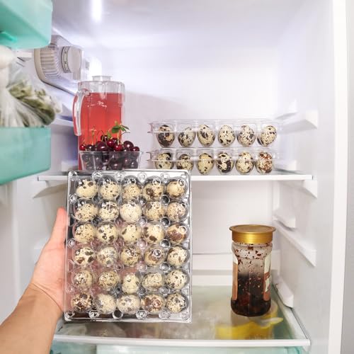 100 Pack Quail Egg Cartons (100 Pack Quail Egg Cartons 30 Grids)