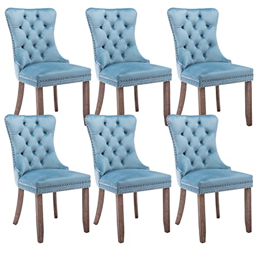 Light Blue Velvet Dining Chairs Set of 6 (Light Blue)
