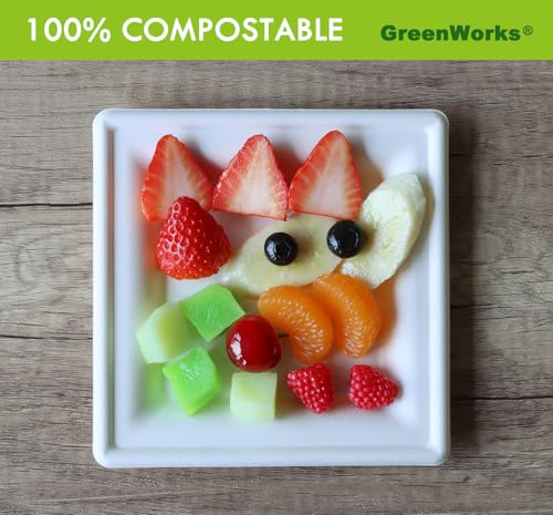 100 Count 6 Inch Small Square Compostable plates (6 Inch)