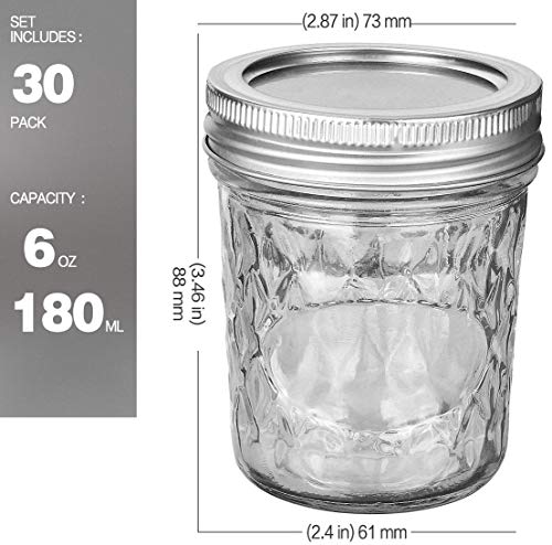 Mason Jars 30 PACK 6oz Canning Mason Jars Jelly Jars With Lids (30 Pack 6oz)