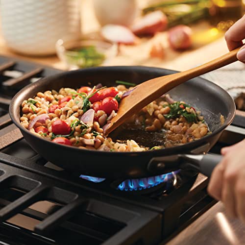 Advanced Home Hard Anodized Nonstick Frying Pan (Moonstone / Skillet (8.5-Inch))
