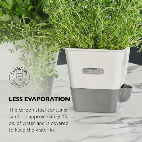Self Water Herb Keeper (1 Count)