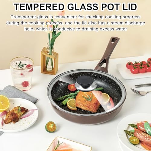 12 Inch Pan Lid (12 inch)