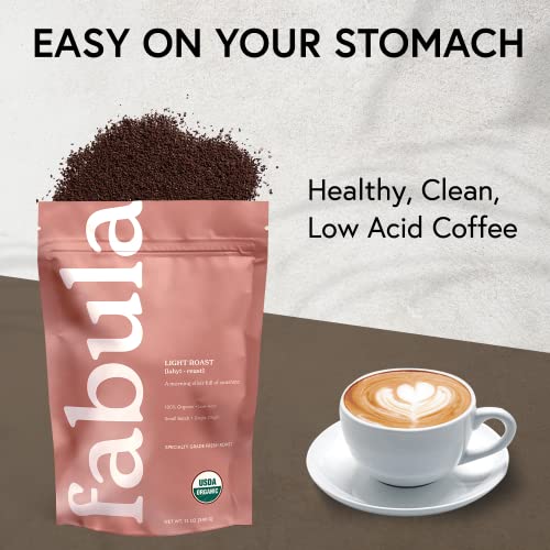 Coffee Light Roast Freshly Ground (12 Ounce (Pack of 1))